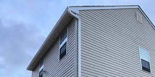 Best Historical Building Siding Restoration  in Hornsby Bend, TX